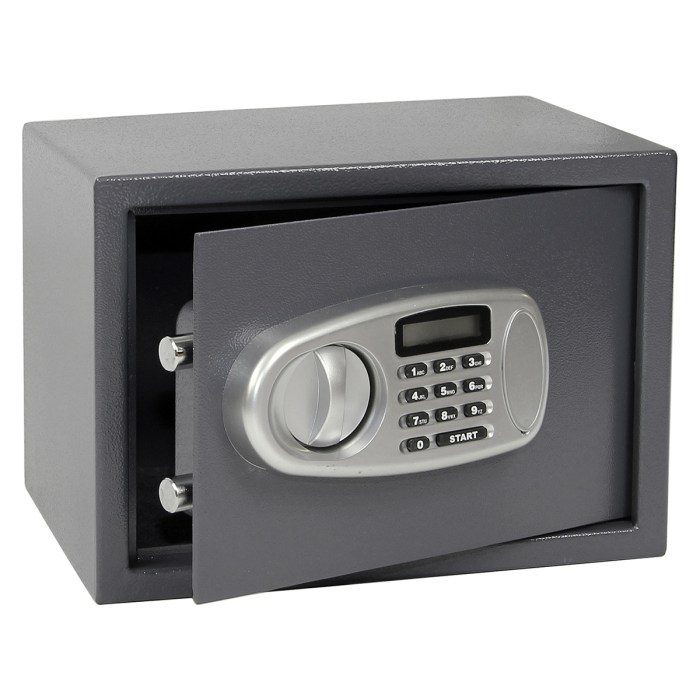 RS.25.LCD